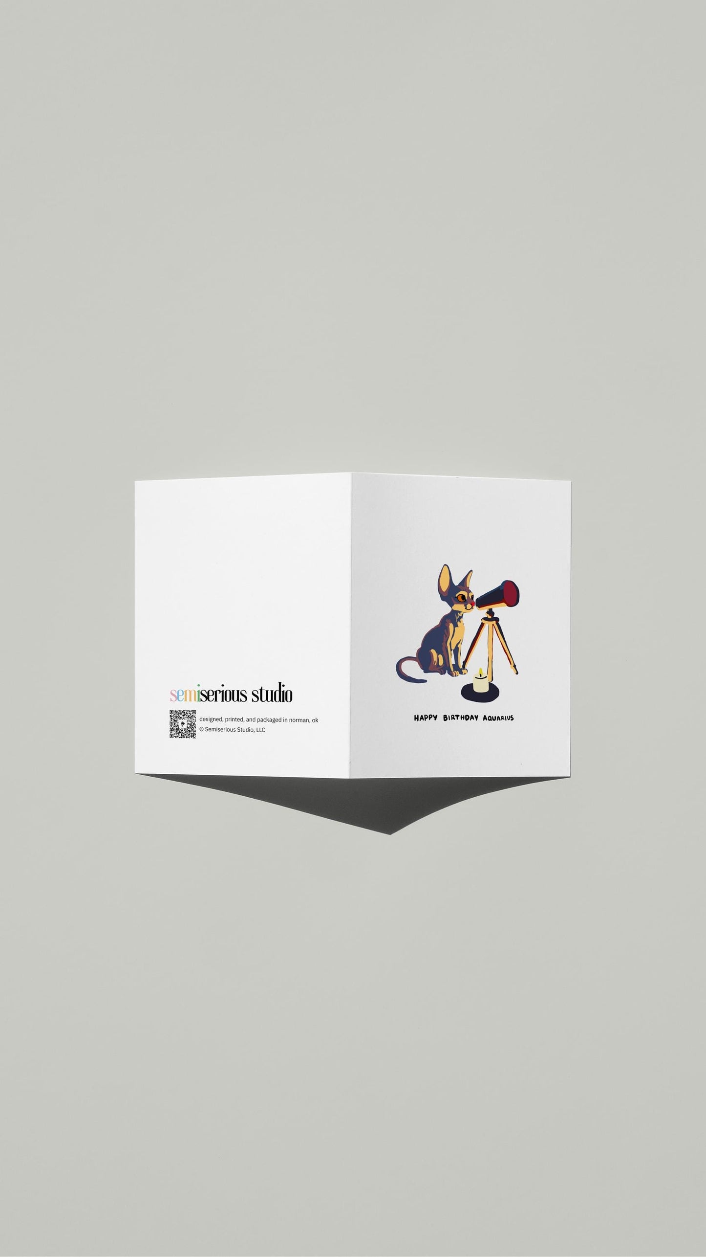 Aquarius Sphynx Cat Birthday card standing open, showing the front artwork and the Semiserious Studio logo on the back