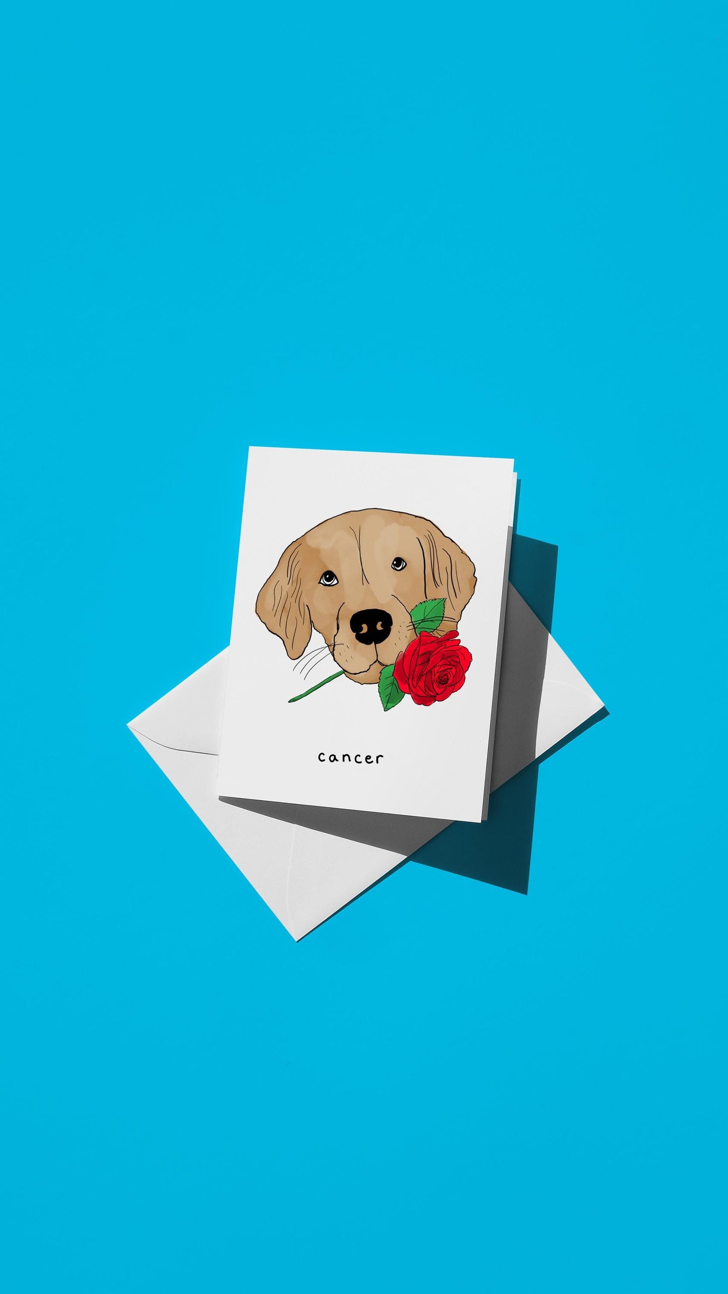 Hand-drawn illustration of a dog holding a rose in its mouth with the message "cancer"