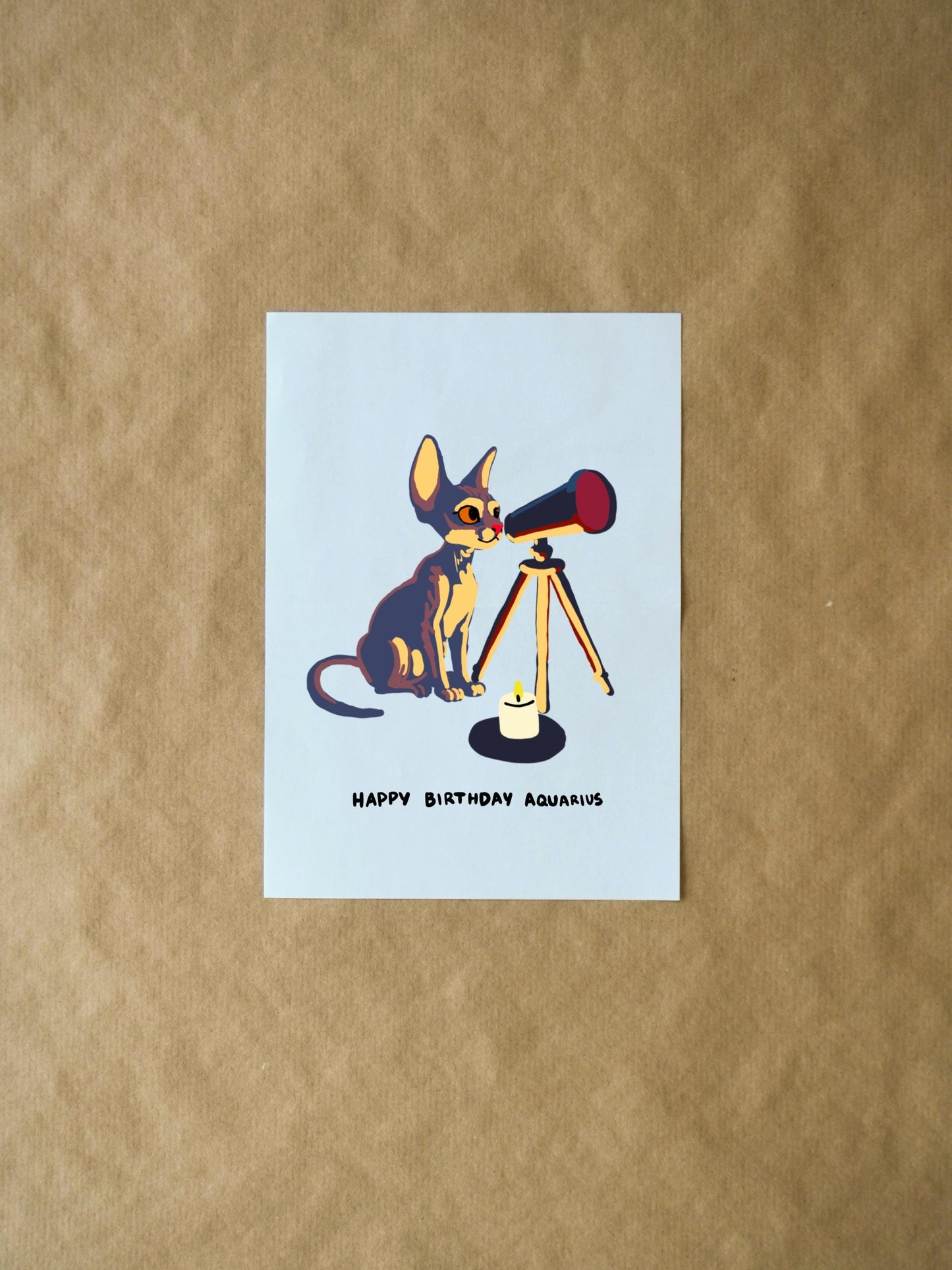 Aquarius Birthday Card - Cute Zodiac Card with Sphynx Cat Stargazing & Telescope, Funny Gift for Cat Lovers