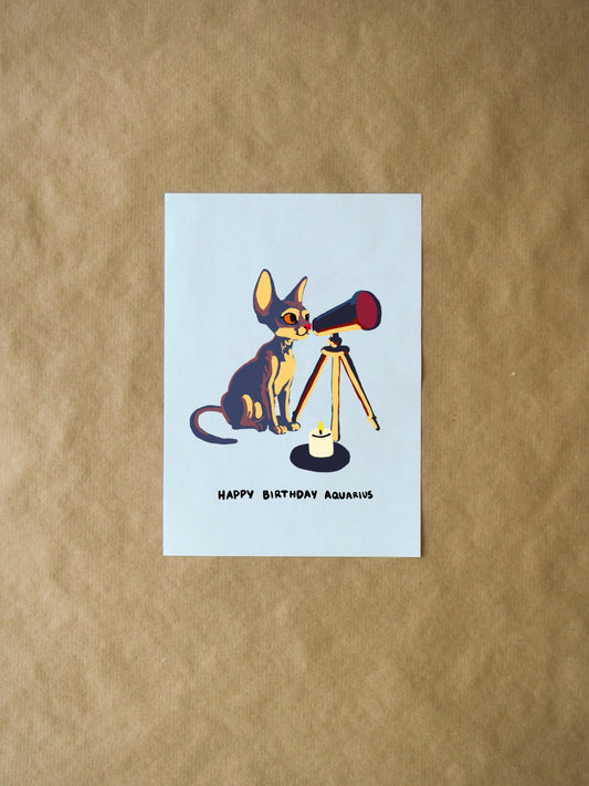 Aquarius Birthday Card - Cute Zodiac Card with Sphynx Cat Stargazing & Telescope, Funny Gift for Cat Lovers
